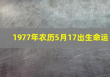 1977年农历5月17出生命运