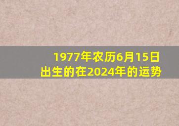 1977年农历6月15日出生的在2024年的运势