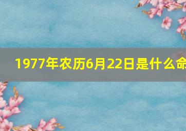 1977年农历6月22日是什么命