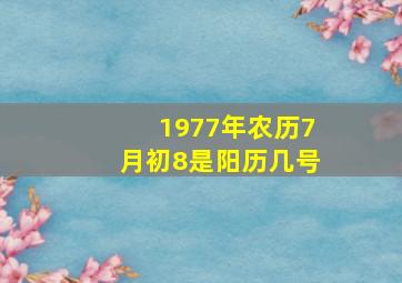 1977年农历7月初8是阳历几号