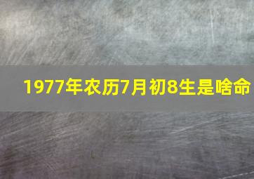 1977年农历7月初8生是啥命