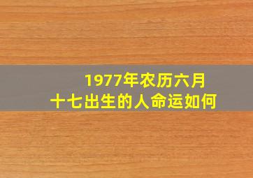 1977年农历六月十七出生的人命运如何