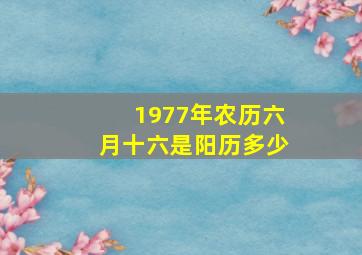 1977年农历六月十六是阳历多少