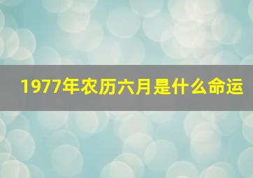 1977年农历六月是什么命运