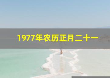 1977年农历正月二十一