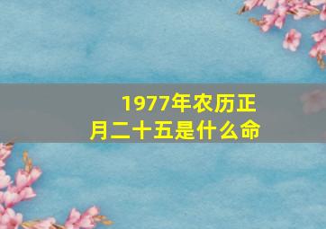 1977年农历正月二十五是什么命