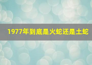 1977年到底是火蛇还是土蛇