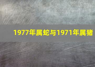 1977年属蛇与1971年属猪