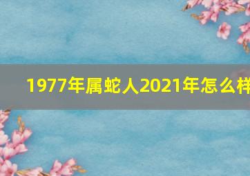 1977年属蛇人2021年怎么样