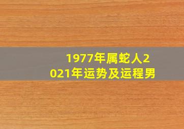 1977年属蛇人2021年运势及运程男