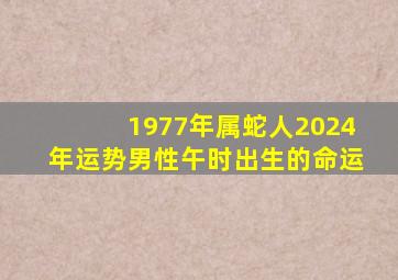 1977年属蛇人2024年运势男性午时出生的命运