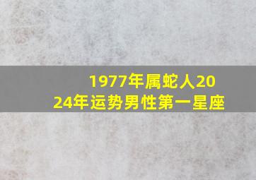 1977年属蛇人2024年运势男性第一星座