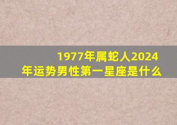 1977年属蛇人2024年运势男性第一星座是什么