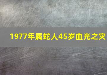 1977年属蛇人45岁血光之灾