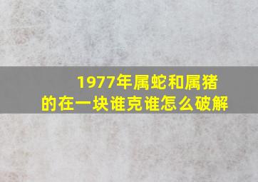 1977年属蛇和属猪的在一块谁克谁怎么破解