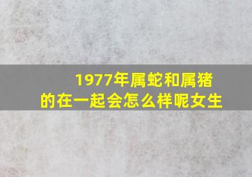 1977年属蛇和属猪的在一起会怎么样呢女生