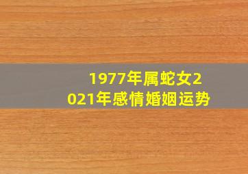 1977年属蛇女2021年感情婚姻运势