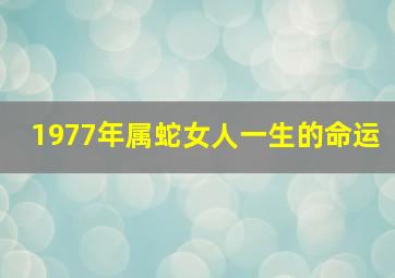 1977年属蛇女人一生的命运