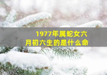 1977年属蛇女六月初六生的是什么命