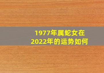 1977年属蛇女在2022年的运势如何