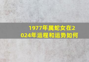 1977年属蛇女在2024年运程和运势如何