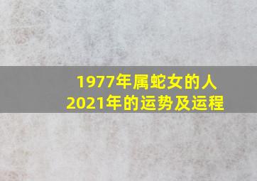 1977年属蛇女的人2021年的运势及运程