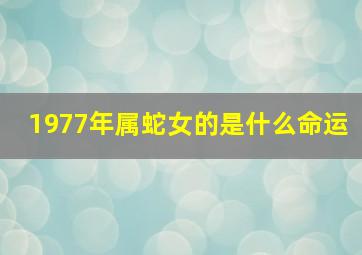 1977年属蛇女的是什么命运