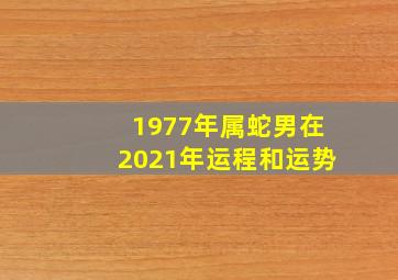 1977年属蛇男在2021年运程和运势