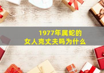 1977年属蛇的女人克丈夫吗为什么