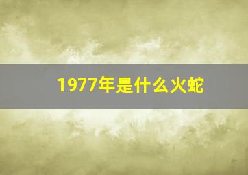 1977年是什么火蛇