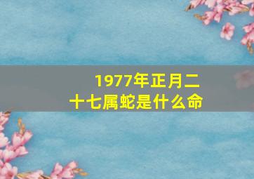 1977年正月二十七属蛇是什么命