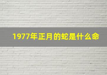 1977年正月的蛇是什么命