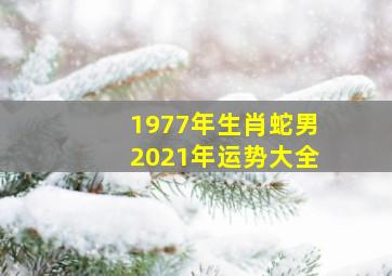 1977年生肖蛇男2021年运势大全