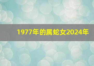 1977年的属蛇女2024年