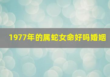 1977年的属蛇女命好吗婚姻