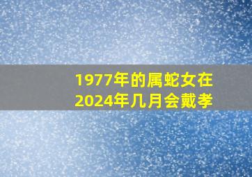 1977年的属蛇女在2024年几月会戴孝