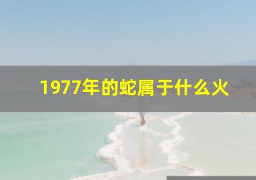 1977年的蛇属于什么火