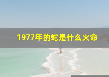 1977年的蛇是什么火命