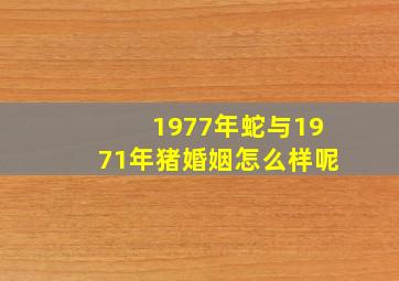 1977年蛇与1971年猪婚姻怎么样呢