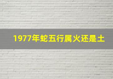 1977年蛇五行属火还是土