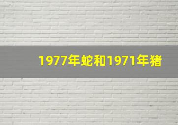 1977年蛇和1971年猪