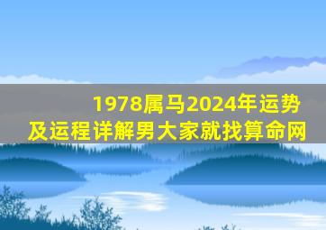 1978属马2024年运势及运程详解男大家就找算命网