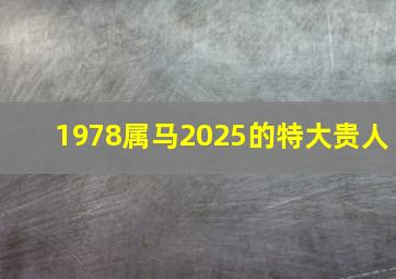 1978属马2025的特大贵人