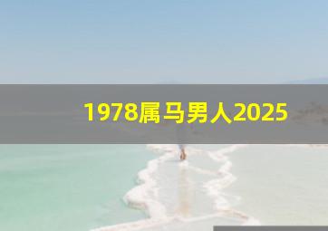 1978属马男人2025