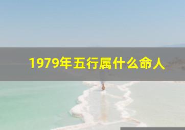 1979年五行属什么命人