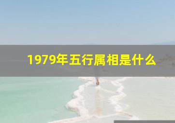 1979年五行属相是什么