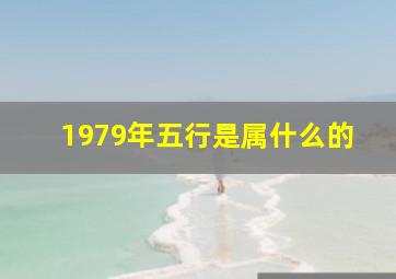 1979年五行是属什么的