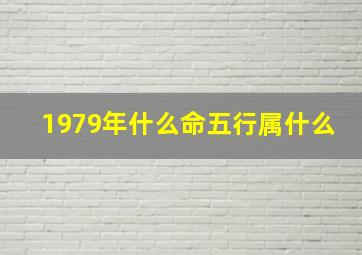 1979年什么命五行属什么