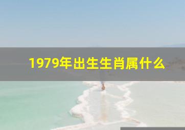 1979年出生生肖属什么