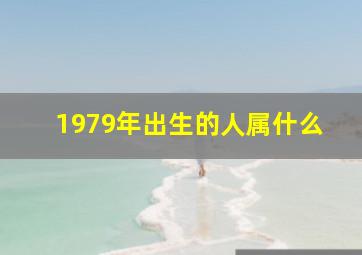 1979年出生的人属什么